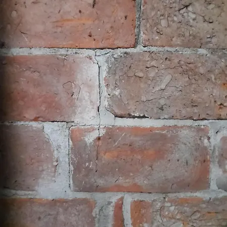 Hébergement de vacances Haus-selma *